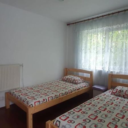 Casa Pitaru Hotel Calafat Ngoại thất bức ảnh