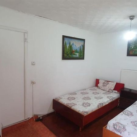 Casa Pitaru Hotel Calafat Ngoại thất bức ảnh